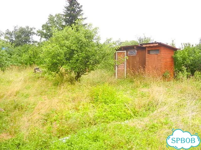 Дом 50 м² на участке 13 сот. фото 9