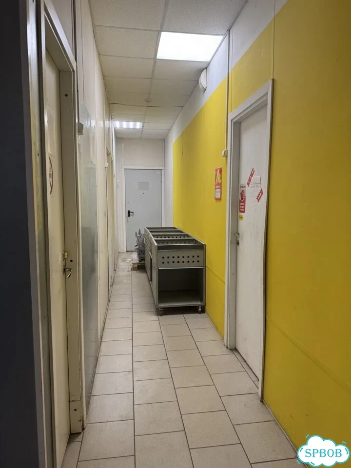 Свободного назначения, 50 м² фото 3