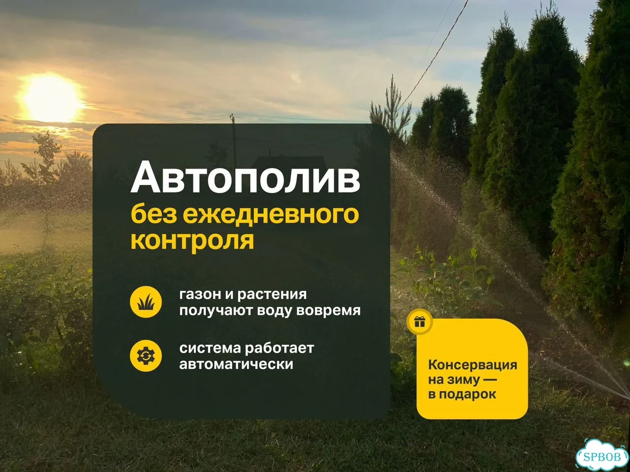 Автополив газона Уход за газоном Капельный полив фото 1