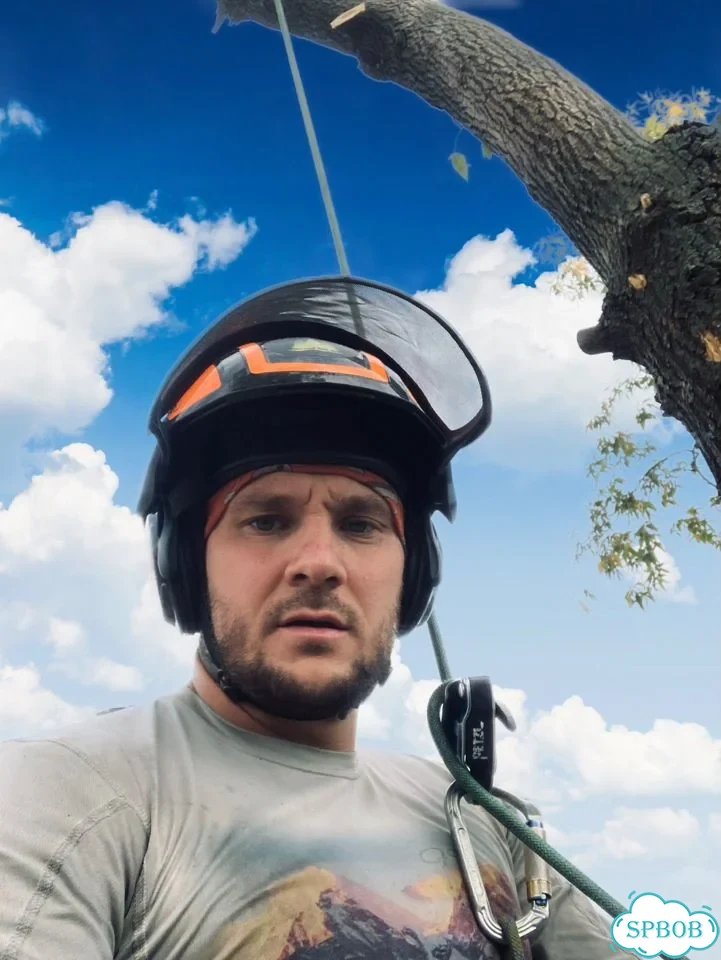 Удаление и дробление пней, спил, расчистка фото 5