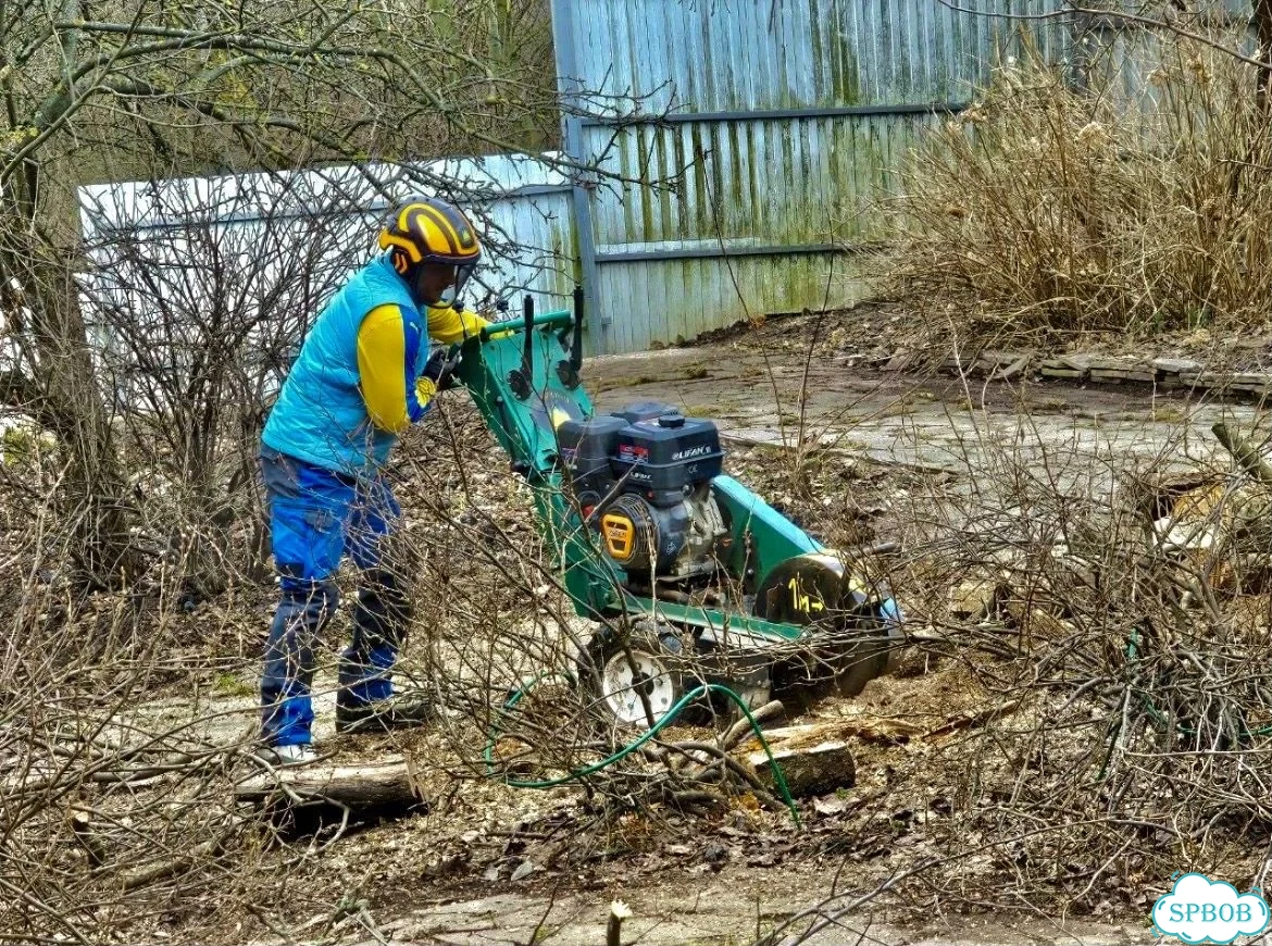 Удаление и дробление пней, спил, расчистка фото 6