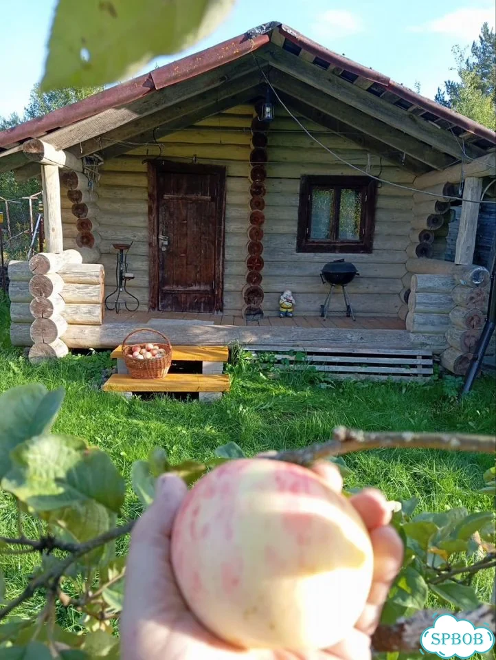 Дача 40 м² на участке 6 сот. фото 4