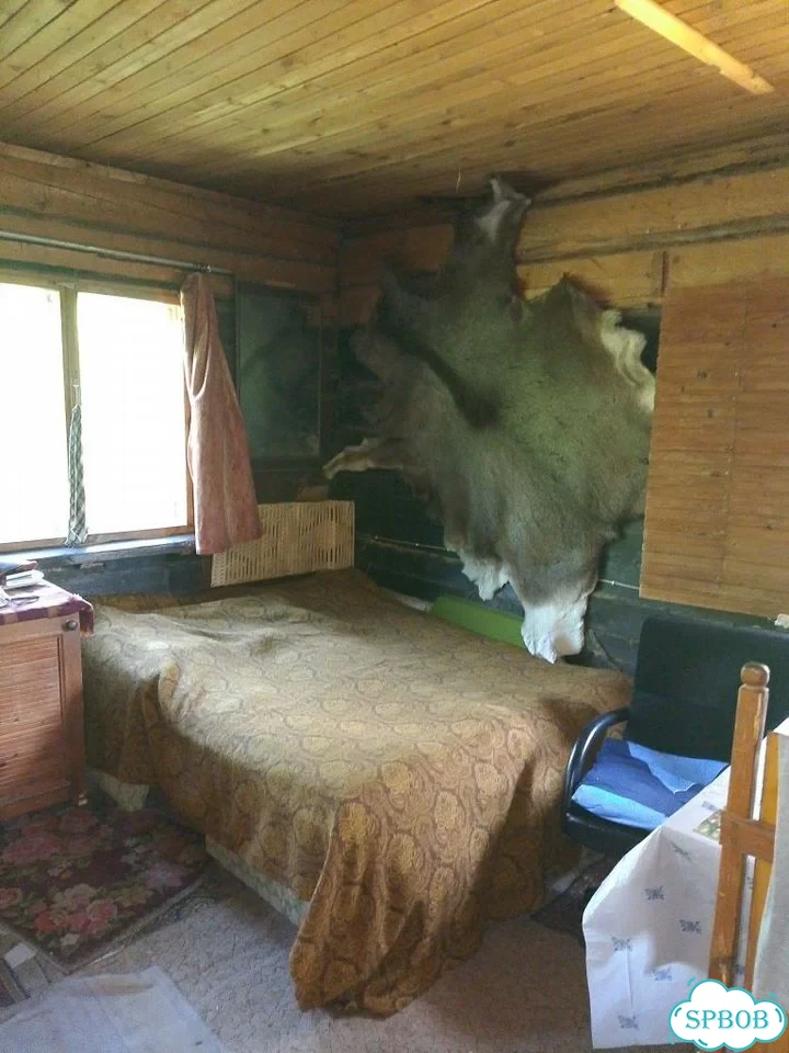 Дача 60 м² на участке 10 сот. фото 8