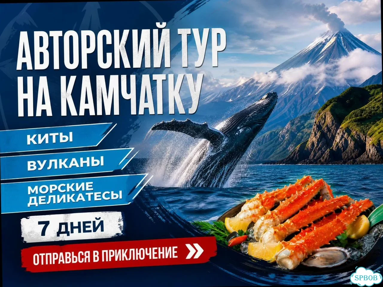 На Камчатку на 7 дн/6 нч Киты, Вулканы и др фото 7
