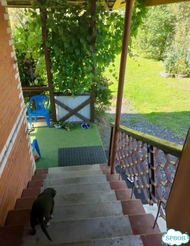 Дом 234 м² на участке 12 сот. фото 10