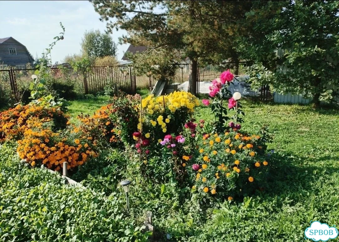 Дом 234 м² на участке 12 сот. фото 32