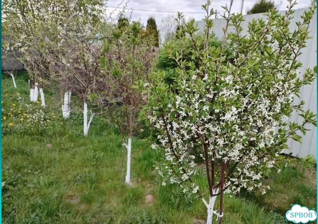 Дом 234 м² на участке 12 сот. фото 33