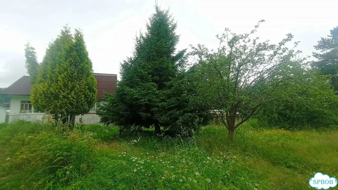 Дача 60 м² на участке 10,5 сот. фото 30