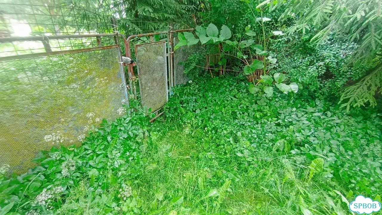 Дача 60 м² на участке 10,5 сот. фото 4