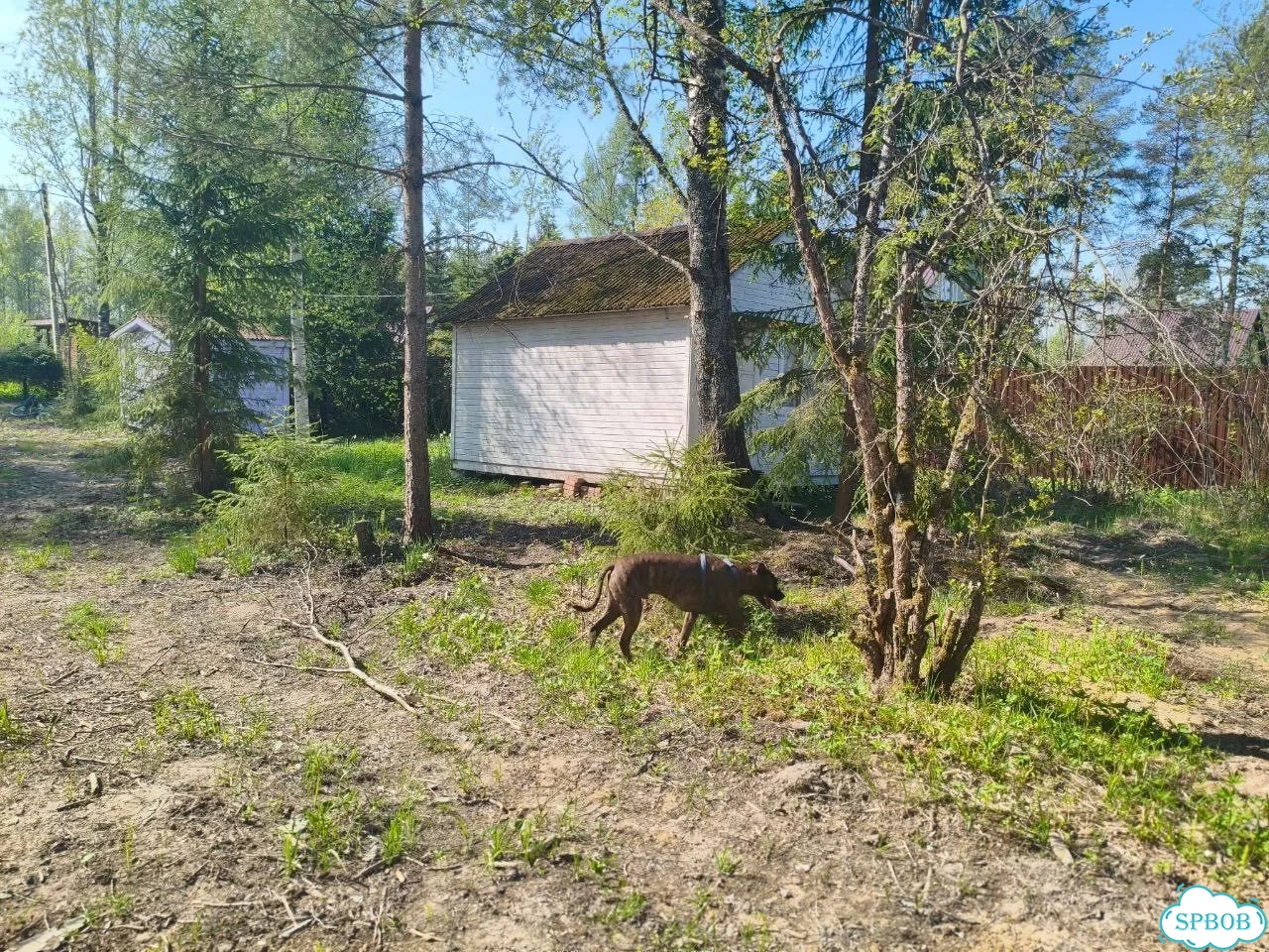 Дача 21 м² на участке 12 сот. фото 8
