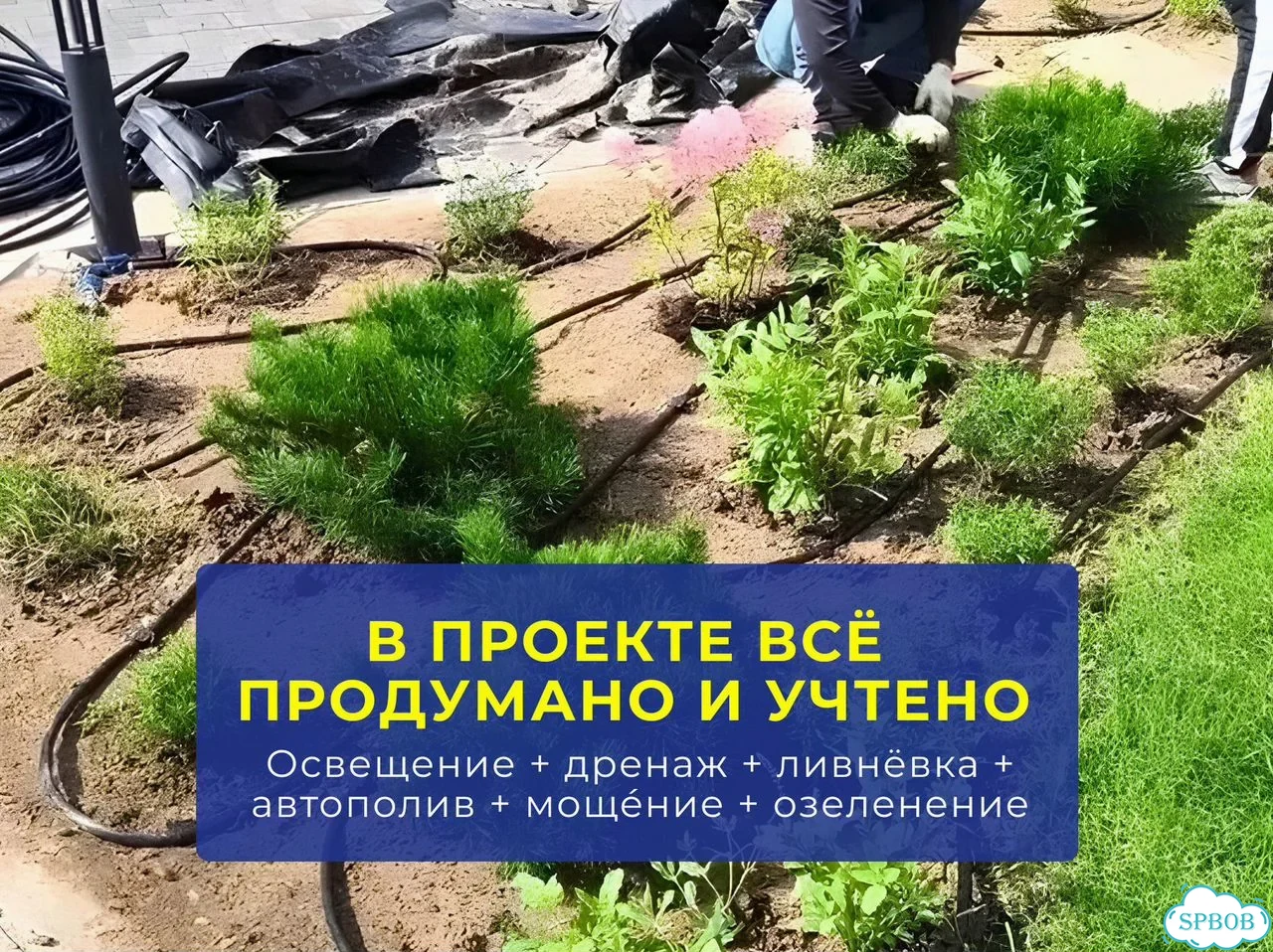 Ландшафтный дизайн участка / Реализация за сезон фото 2