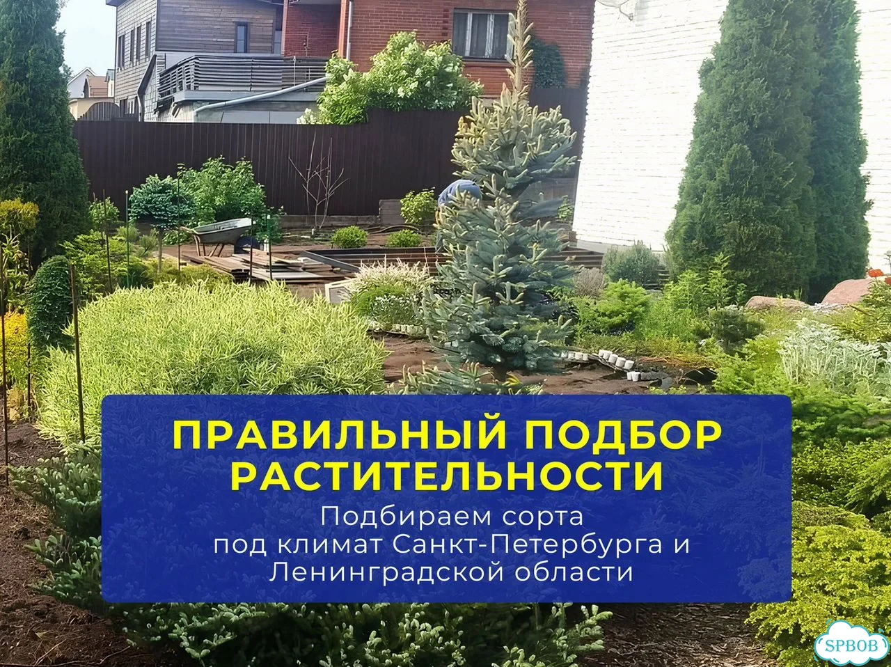 Ландшафтный дизайн участка / Реализация за сезон фото 5