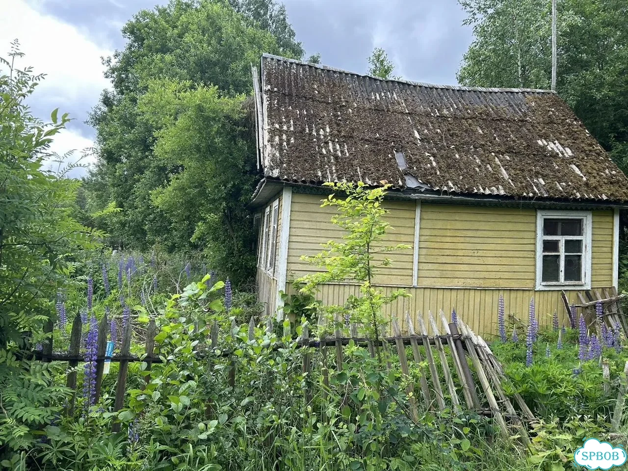 Дача 50 м² на участке 11 сот. фото 1