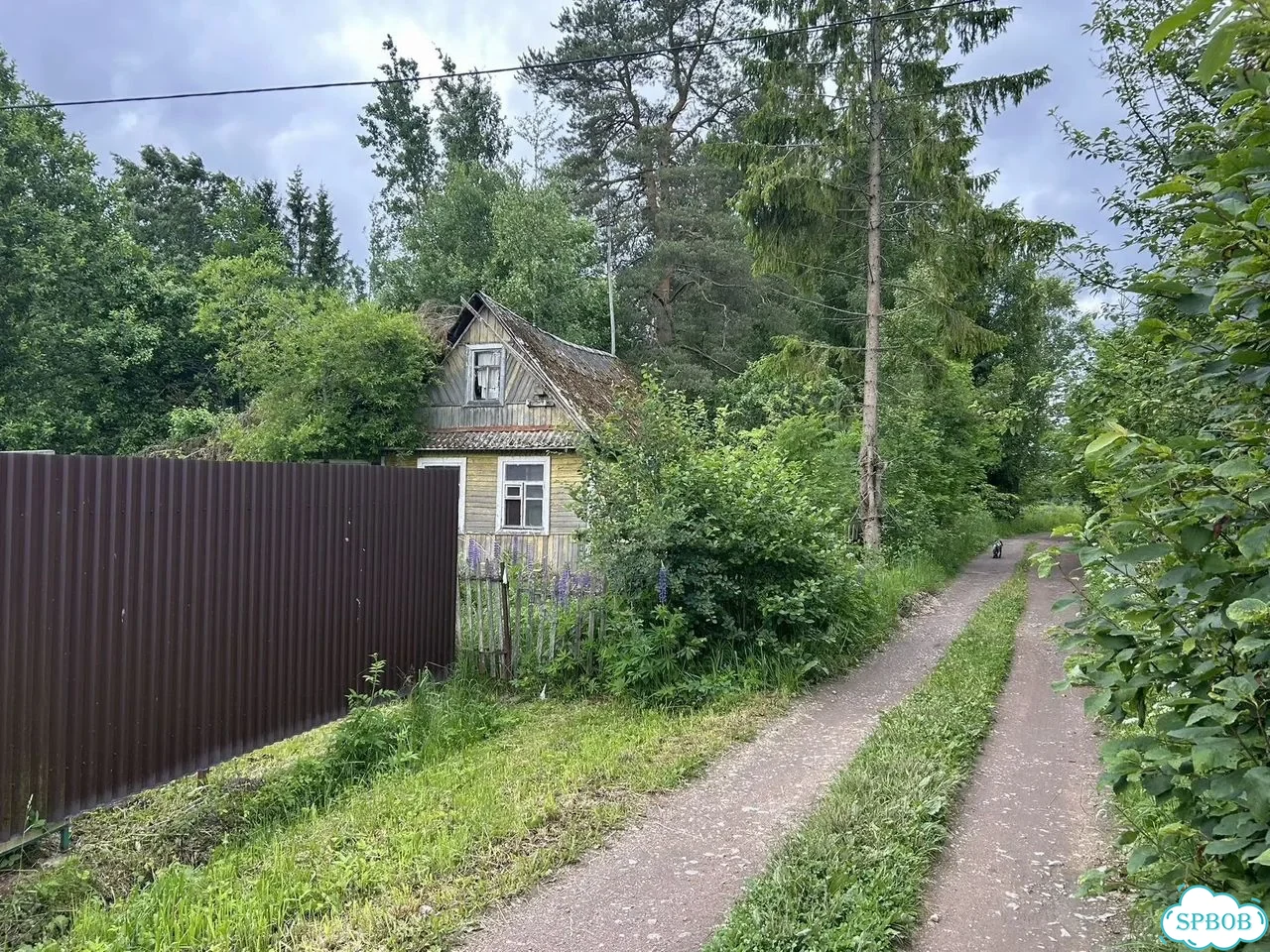 Дача 50 м² на участке 11 сот. фото 2