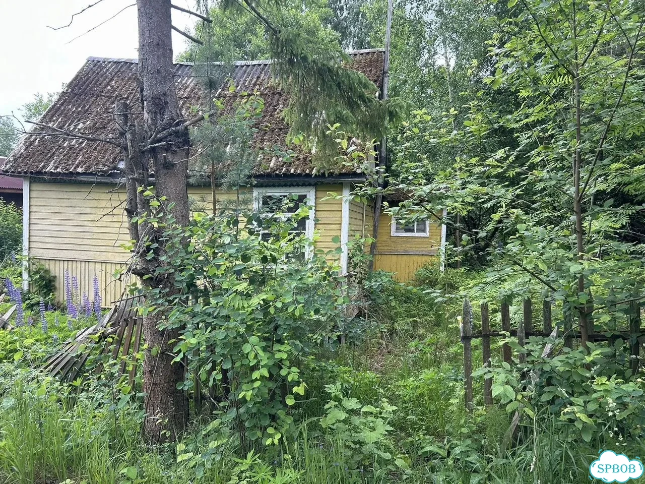 Дача 50 м² на участке 11 сот. фото 3