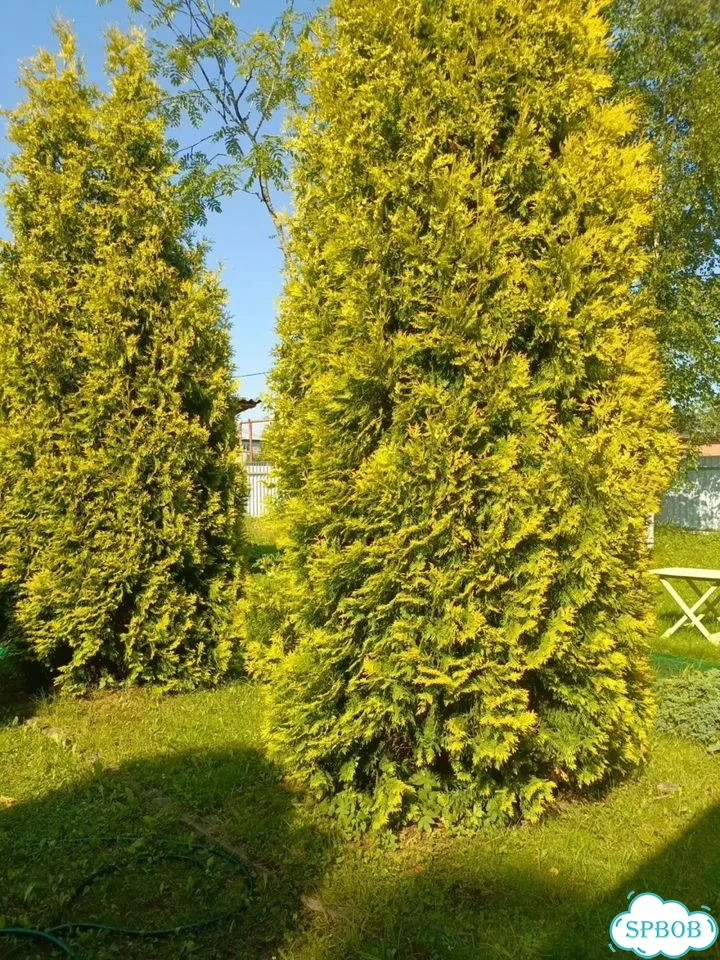Дом 130 м² на участке 12 сот. фото 12