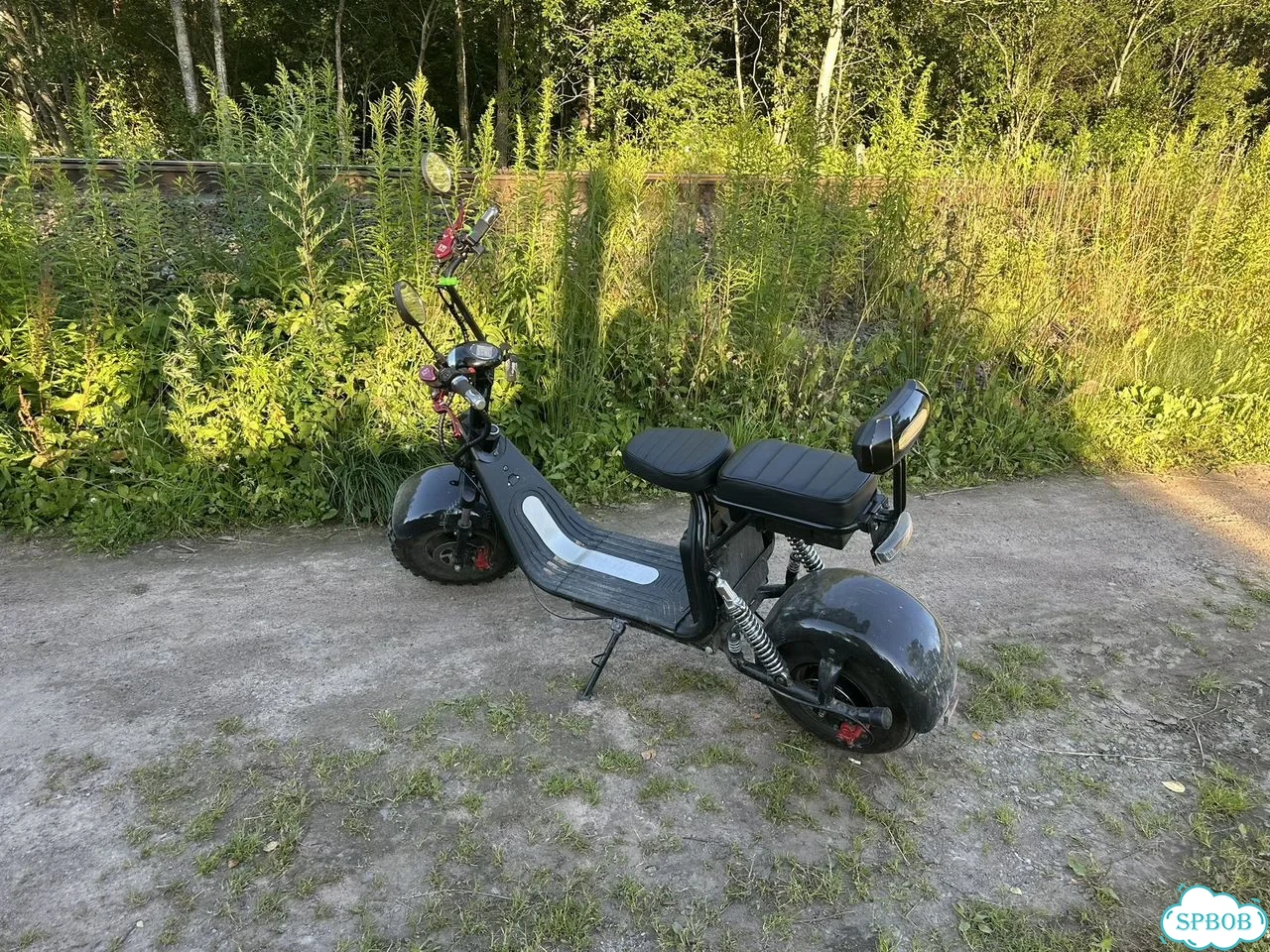 Электоскутер citycoco фото 5