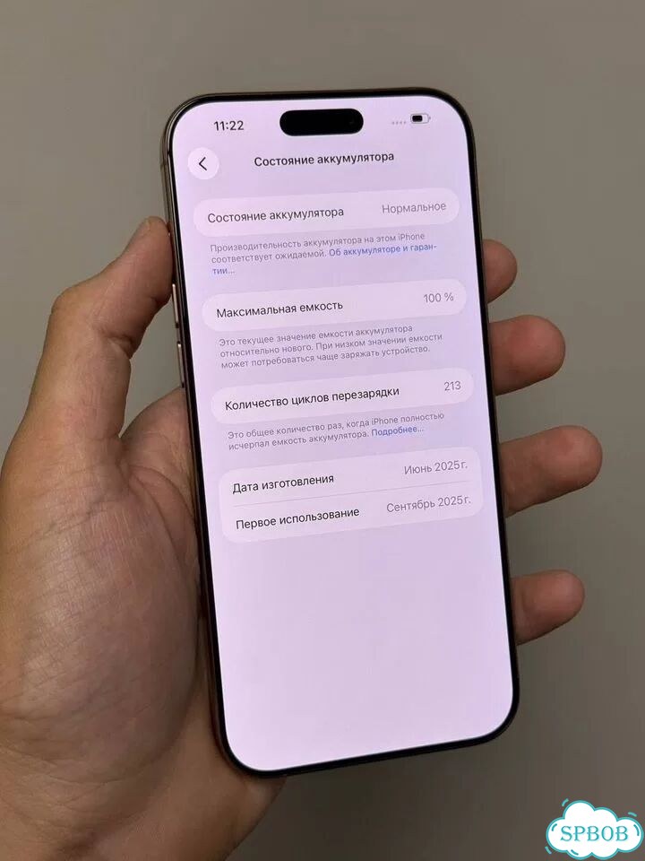 iPhone 16 Pro Max, 256 ГБ, SIM + eSIM фото 8