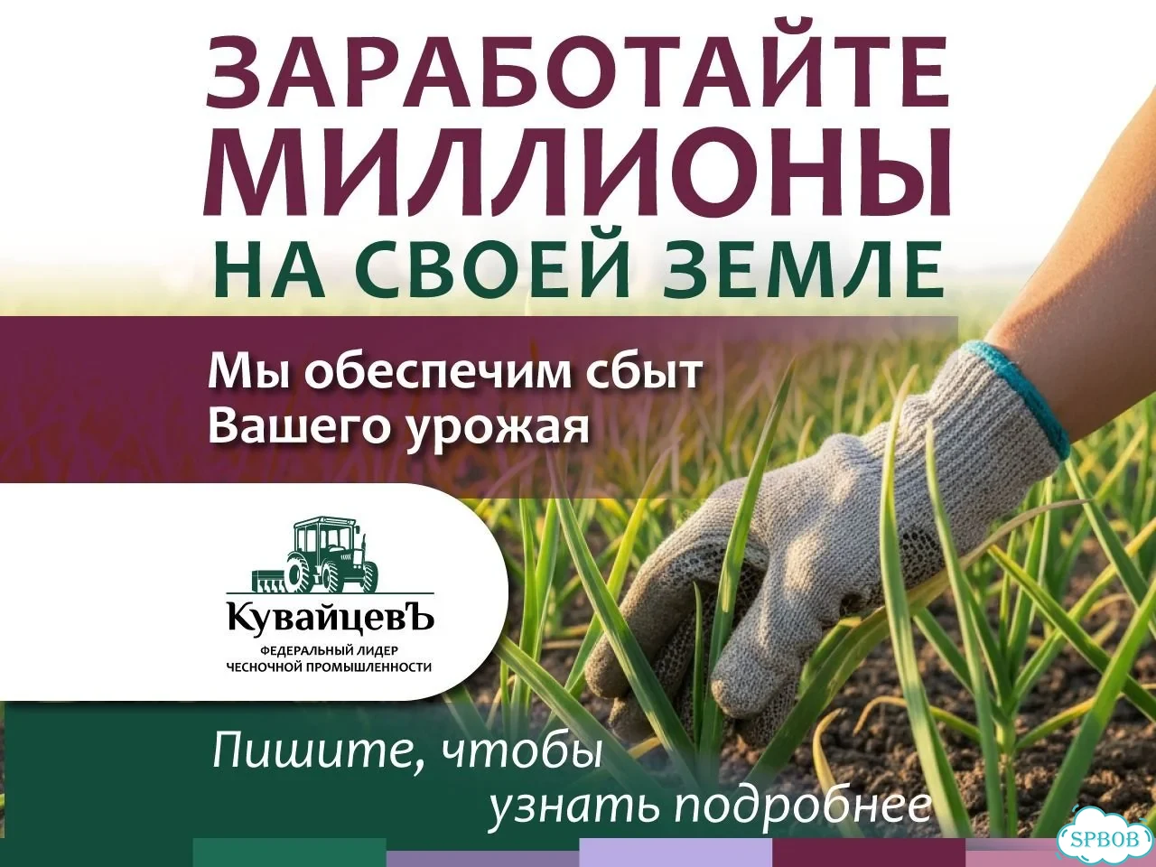 Франшиза по выращиванию чеснока фото 1