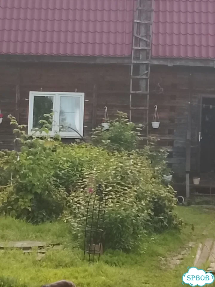 Дом 48 м² на участке 12 сот. фото 18