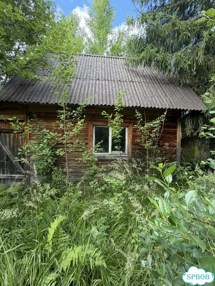 Участок 6 сот. (СНТ, ДНП) фото 1