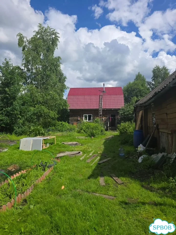 Дом 55,8 м² на участке 12 сот. фото 1
