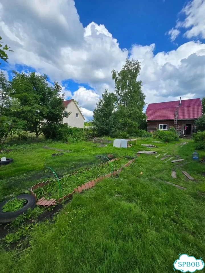 Дом 55,8 м² на участке 12 сот. фото 4