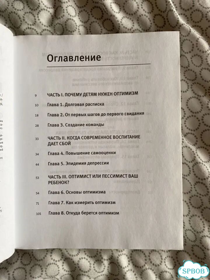 Ребёнок оптимист Селигман фото 3