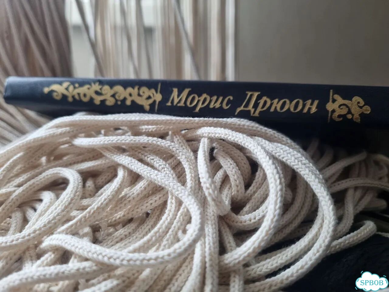 Когда Король губит Францию фото 5