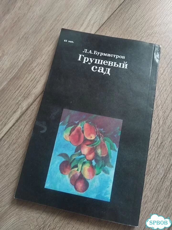 Бурмистров. Грушовый сад фото 2