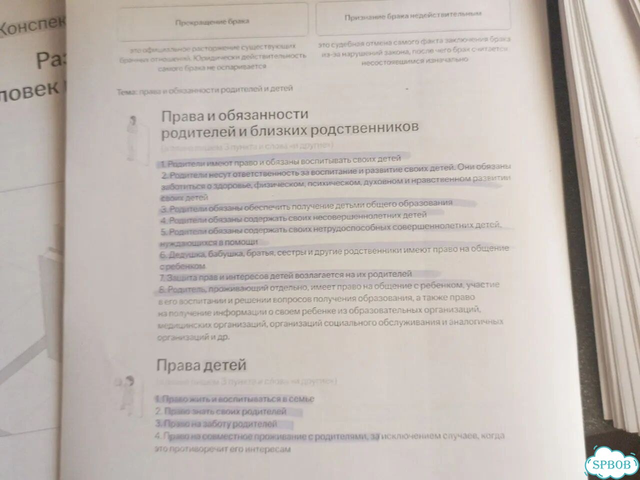 Конспекты ЕГЭ обществознание умскул предбанник фото 3