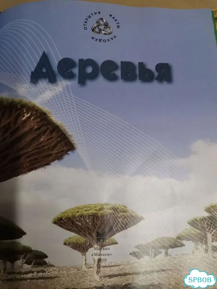 Деревья, факты находки открытия фото 4