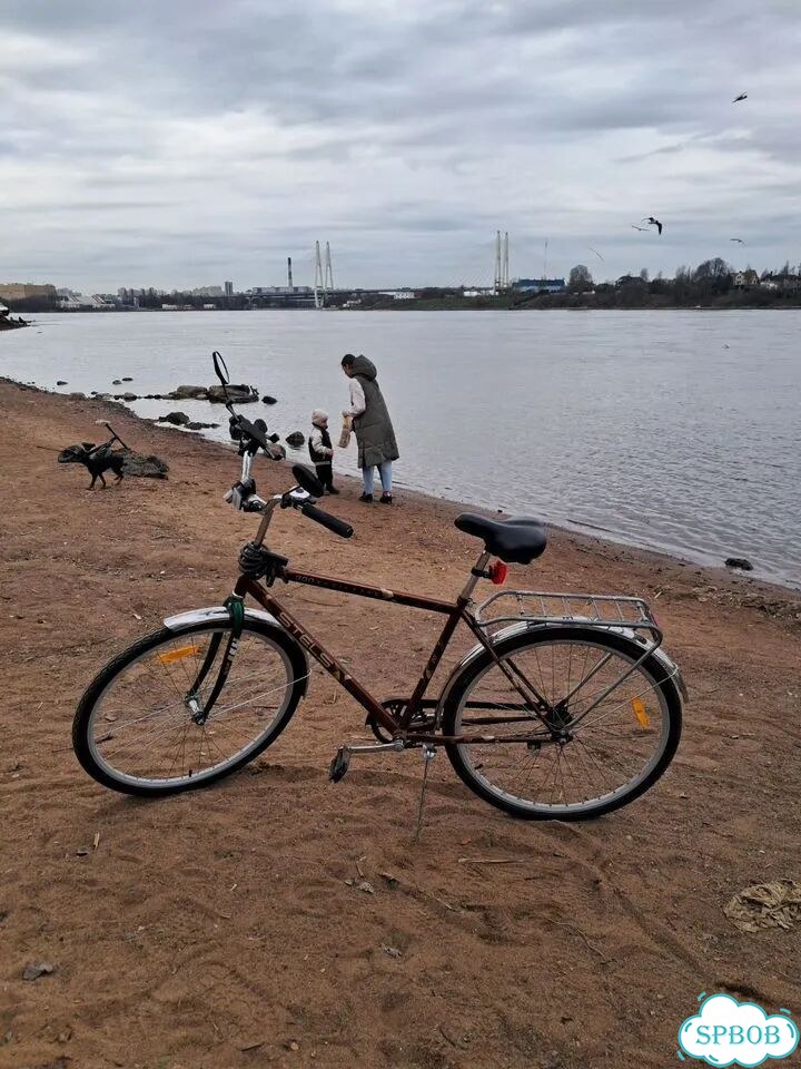 Велосипед Stels Navigator 300 взрослый мужской фото 2