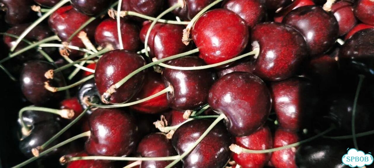 Черешня сорт Наполеон вкус огнище цена за 1кг фото 1