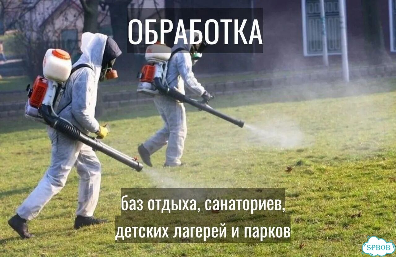 Обработка участка от клещей и комаров фото 6
