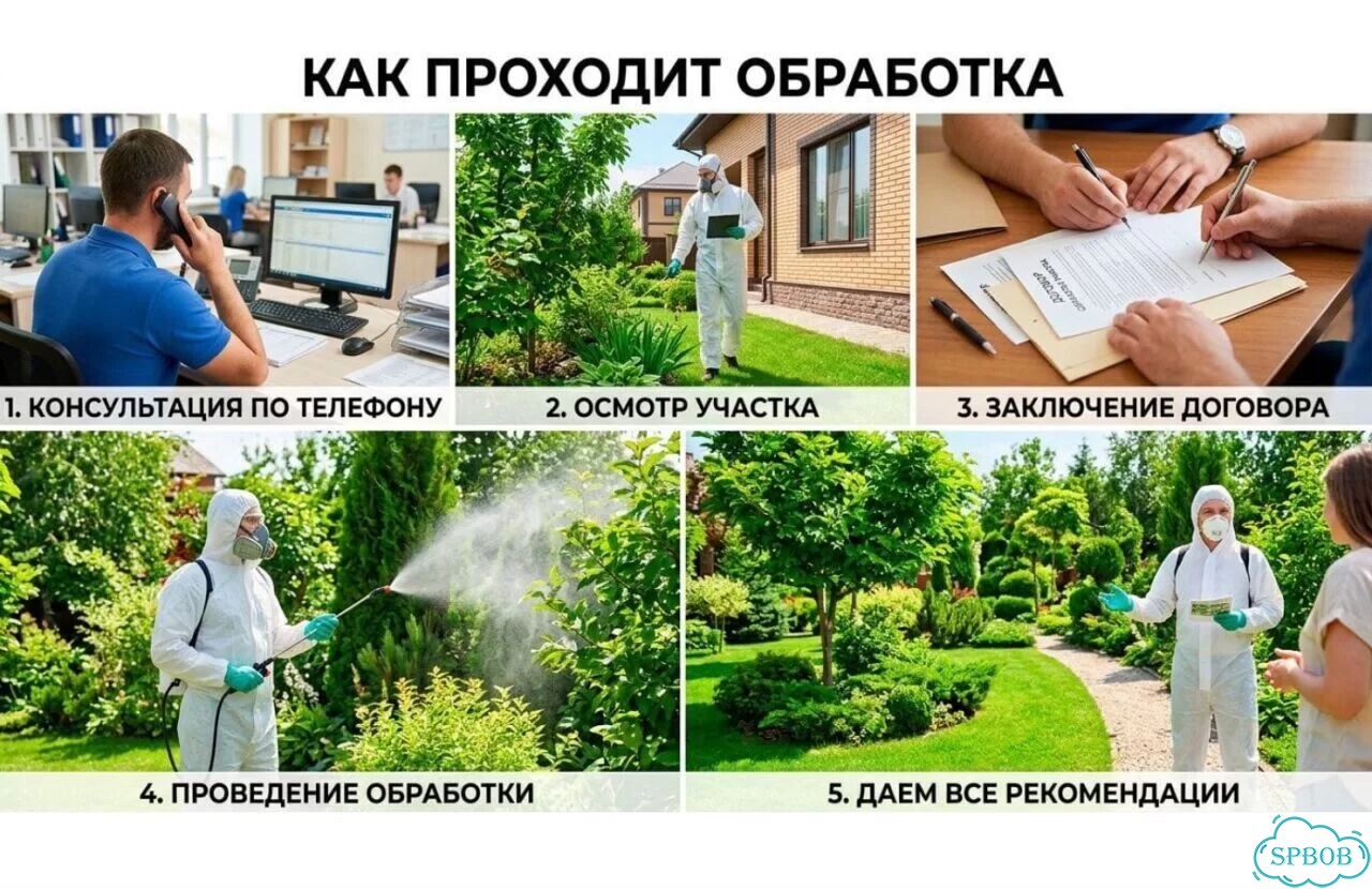Обработка участка от клещей и комаров фото 7