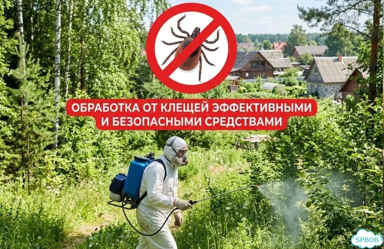 Акарицидная обработка от клещей и мошек фото 1