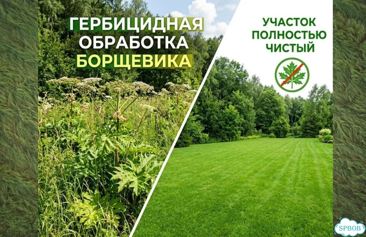 Акарицидная обработка от клещей и мошек фото 6