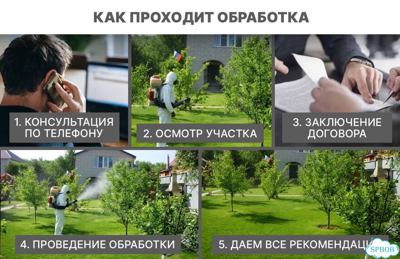 Акарицидная обработка от клещей и мошек фото 8