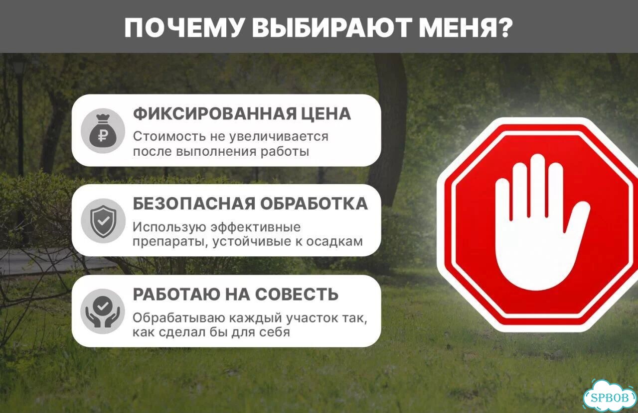 Акарицидная обработка от клещей и мошек фото 9