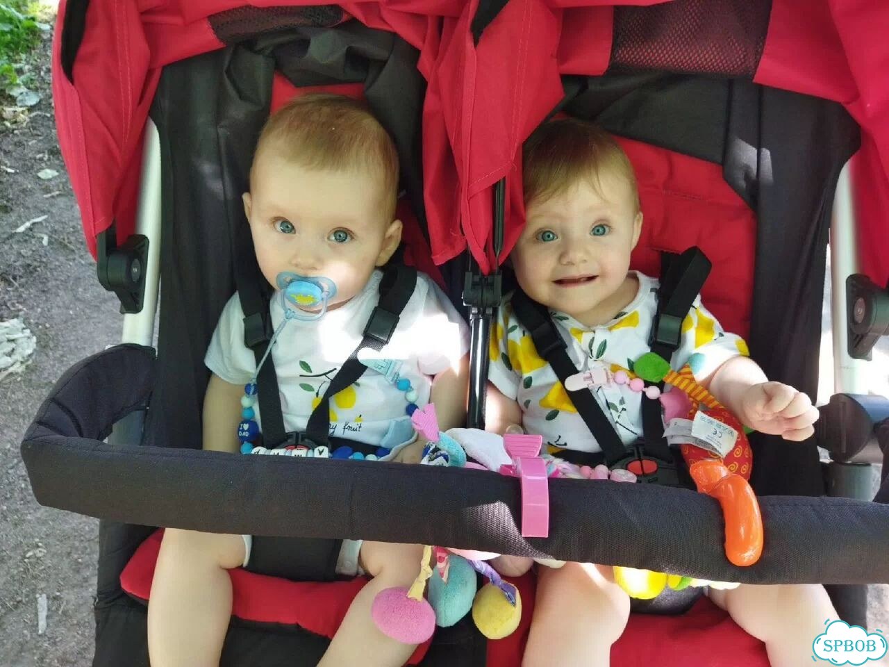 Коляска для двойни погодок mountain buggy duet фото 10