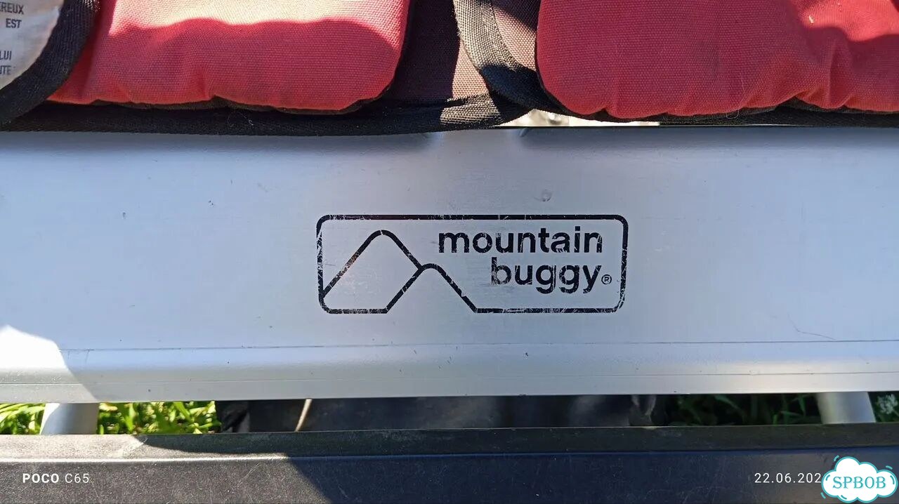Коляска для двойни погодок mountain buggy duet фото 2