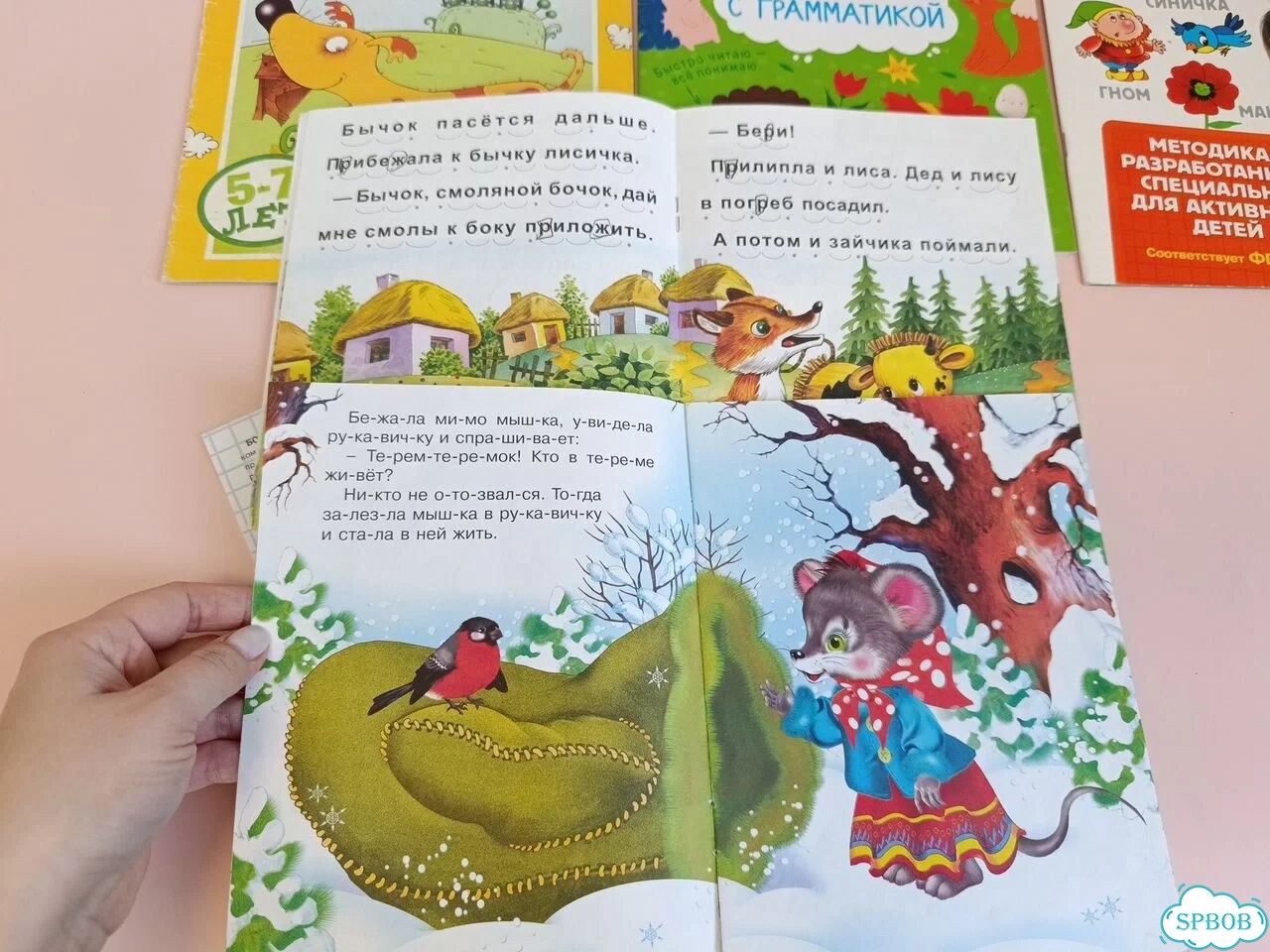 Детские книги пакетом обучающие для дошкольников фото 8