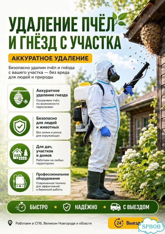 Удаление пчёл и гнёзд с участка фото 1