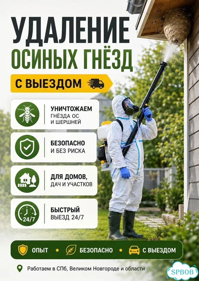 Удаление осиных гнёзд с выездом фото 1
