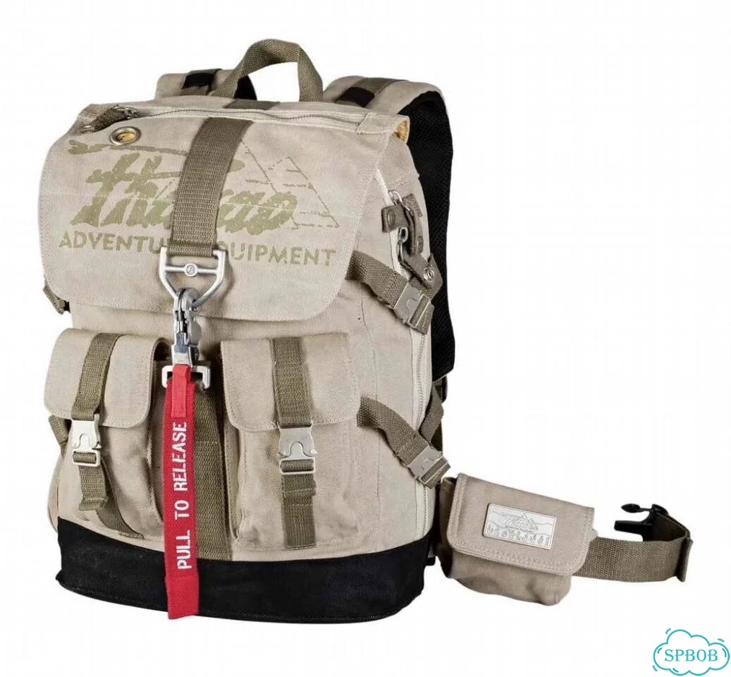 Рюкзак мужской Pharao 20L из брезента с ремнями фото 1