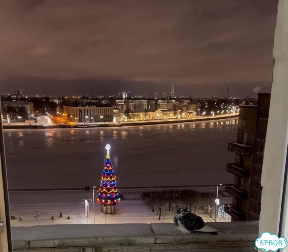 2-к. квартира, 54 м², 9/11 эт. фото 1