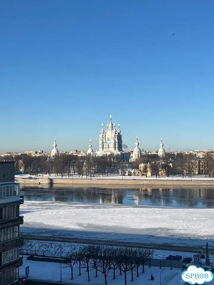 2-к. квартира, 54 м², 9/11 эт. фото 17