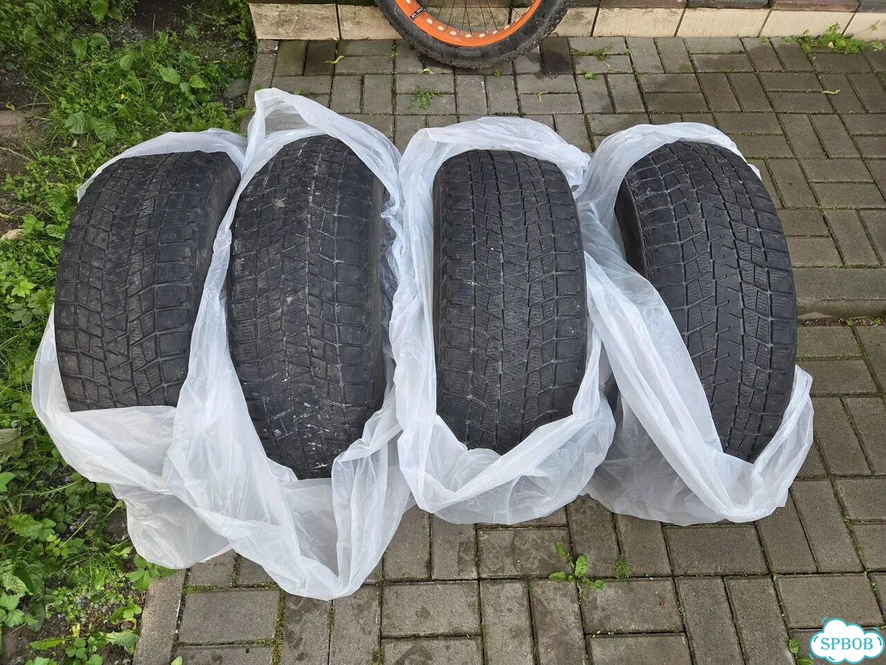 Bridgestone Blizzak DM-V1 225/55 R19 99R фото 1