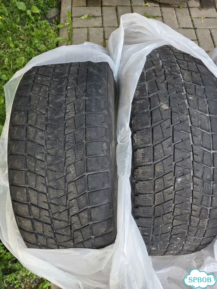 Bridgestone Blizzak DM-V1 225/55 R19 99R фото 2